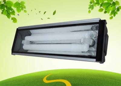 China 400 Watt UL Listed LVD Induction Tunnel Light fixture For Outdoor for sale