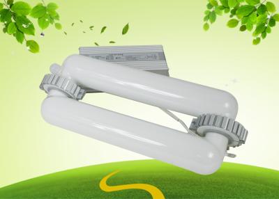 China Brücken-Niederfrequenzinduktions-Lampen Electrodeless, das 250W beleuchtet zu verkaufen