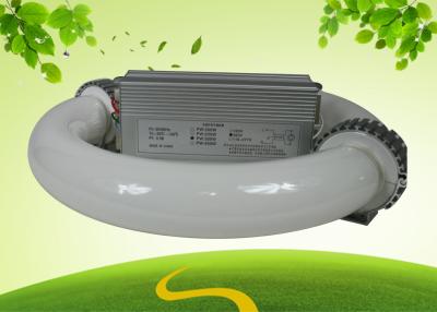 China UL 300w om Electrodeless-de lamp van de Inductie Hoge Macht voor Winkelcomplexxen/Fabrieken Te koop