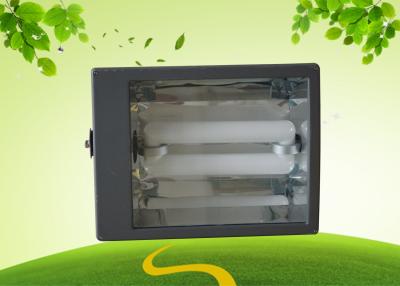 China Energy Efficient Induction Flood Light 100w 200w 250w aluminum reflector , CRI 80 for sale