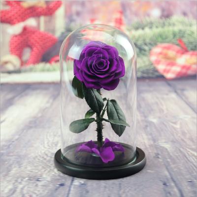 China Preserved Fresh Flower Dried Flower Preserved Flower Glass Gift Preserved Flower Box For Wedding for sale