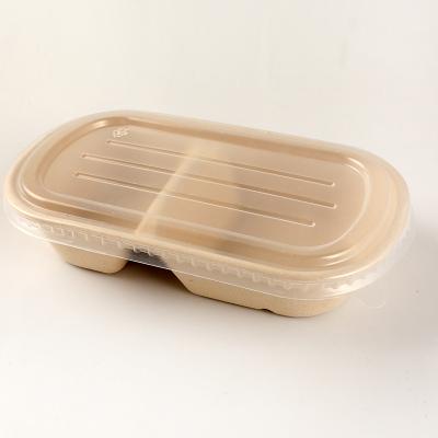 China Household Products 2021 Wholesale Biodegradable Food Containers Sugar Cane Bento Paper Food Box Disposable for sale