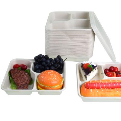 China 2021 Hot Sale Disposable Biodegradable Food Bowl Food Containers Biodegradable Box Packaging for sale