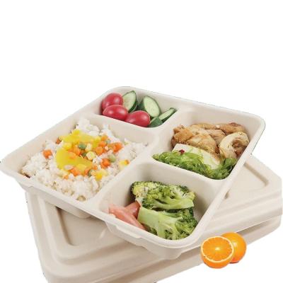 China 4 Compartment Disposable Food Packet Biodegradable Sugarcane Pulp Take Out Food Container for sale