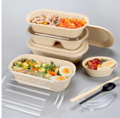 China 2021 Wholesale Eco-Friendly Biodegradable Bagasse Pulp Disposable Sugar Cane Food Container for sale