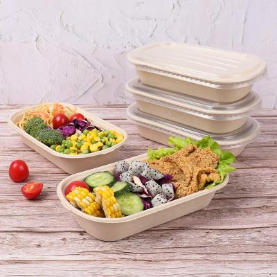 China Household Products Multi Compartment Food Container Biodegradable Fast Food Container Storage Container With Lid for sale