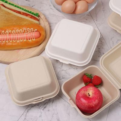 China Biodegradable Sugar Cane Bagasse 6x6 Inch Burger Boxble Biodegradable Bento Box for sale