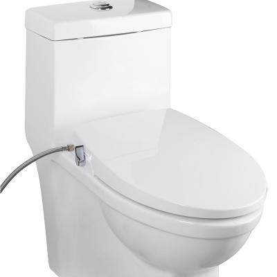 China Easy Installation Oval Toilet Bidet Seat For Intimate Cleaning for sale