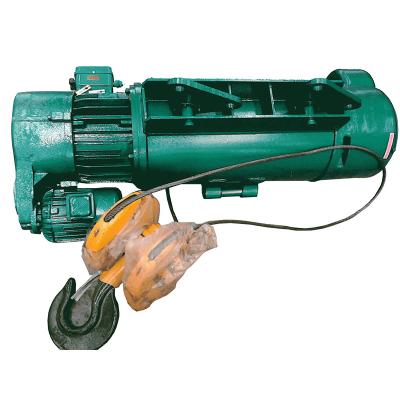 China Hotels Electric Hoist Motor 1000kg With 12m 0.5 Ton Lifting Equipment Material Lifting Gantry Crane for sale