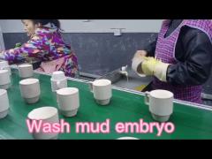 Wash mud embryo