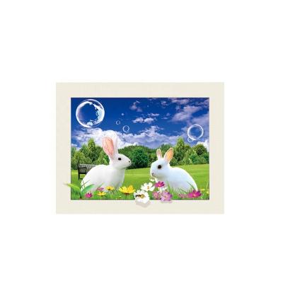 China New Item China Animals Cute Rabbit Lenticular Picture Lenticular 3D Poster 3d Lenticular Images for sale