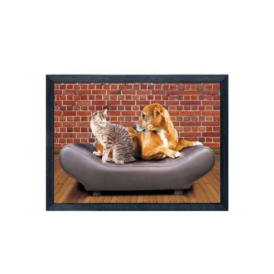 China New Europe 40*60cm 5d 5d lenticular pictures of cats and dogs from dot framed printing in stock animal pictures for decoration gift for sale