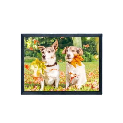 China Existing Europe Stock 3d PET Sticker 3D Lenticular Cinema With Lovely Dogs For Gift Items for sale