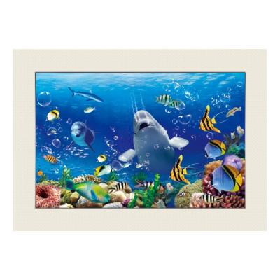 China Large Size 50*70cm Lenticular 3d Picture Of Europe With Ocean World For Beautiful Ocean 3d Picture Poster Home Decoration Large Size for sale