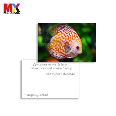 China Worldwide Cheap Price 3d Lenticular Small Business Card Hot Selling 3d Cards for sale