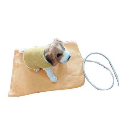 China Dog Cat Warmer Bed Mat Electric Pet Heating Pad Eco - Friendly Sustainable Small for sale