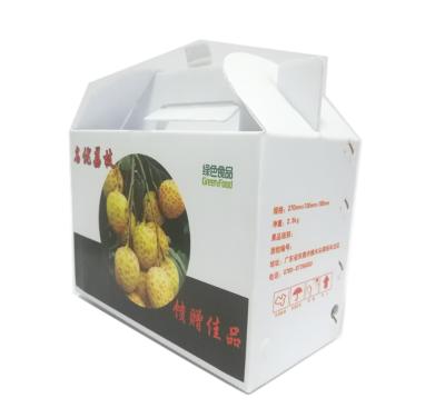 China Recyclable Custom Reusable PP Corrugated Plastic Fruit And Vegetable Boxes For Packaging for sale