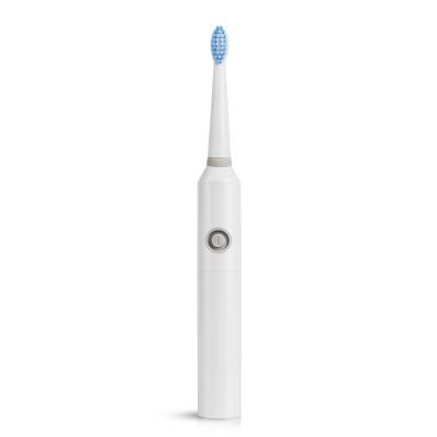 China Battery powered PT8L Free Sample 10 Years Professional Oral Care Factory Battery Power Vibrate Automatic Sonic Electric Toothbrush for sale