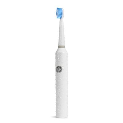 China Battery powered PT8L Free Sample 10 Years Professional Oral Care Factory Battery Vibrate Automatic Electric Sonic Power Toothbrush for sale