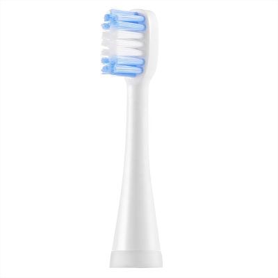 China Outdoor HKT8 Free Sample Rounded Top DuPont Tynex Nylon Soft Bristle Replaceable Replacement Electric Toothbrush Brush Head for sale