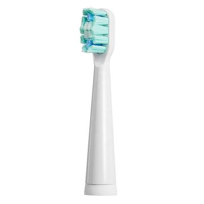 China Outdoor HPT4 Free Sample Rounded Top DuPont Tynex Nylon Soft Bristle Replaceable Replacement Electric Toothbrush Brush Head for sale