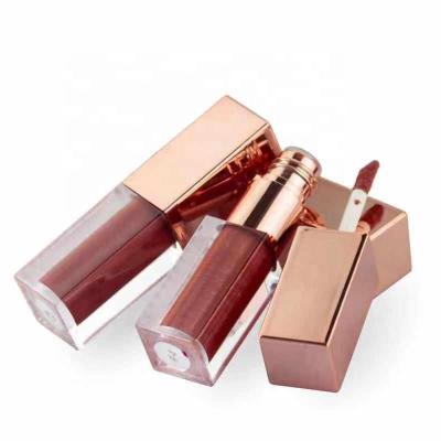 China Sunscreen Cosmetics Makeup Waterproof Long Lasting Waterproof Liquid Lip Gloss Red Matte Lip Gloss for sale