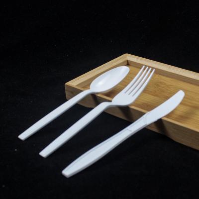 China Disposable/Sustainable/Stored Disposable Plastic Spoon and Knife Fork Napkin in OPP Bag, White PS Cutlery Set for sale