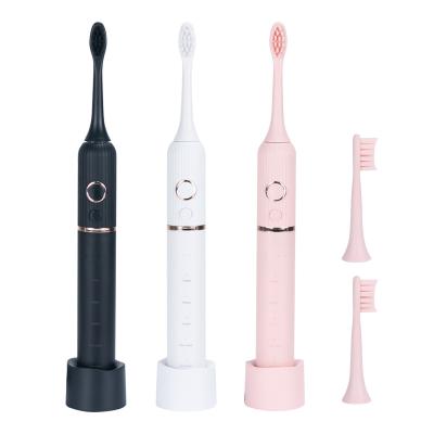 China ABS Adult electric toothbrush wireless charging intelligent acoustic wave IPX8 grade oral cleaning whitening toothbrush soft bristle for sale