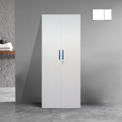 China Knock Down Custom Design Line Steel Furniture Metal Locker Cabinet For Commercial Gym Clothes Steel Storage Locker for sale