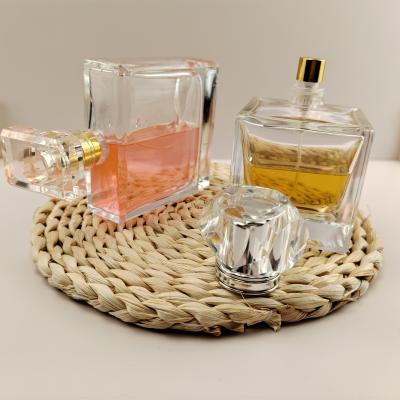 China Clear Frosted Flat Square Empty Glass Perfume Bottle 15ml 30ml 50ml 60ml with Glass Cap for sale