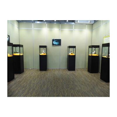 China All Kinds Of Interactive Store Museum Displays / Museum Glass Display Cases / Museum Glass Display for sale