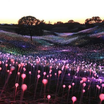 China Beautiful Romantic Led Landscape Bulbs Ball Fiber Optic Light For Garden Lighting Decoration With Sparkling Side Emitting Colors Light Effect for sale