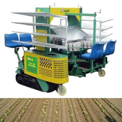 China Agriculture / Horticulture Wild Cabbage 2 Row Agricultural Equipment Transplanting Machine for sale