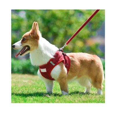 China New Arrival Sustainable Pet Clothes Dog Clothing Pet Clothes Breathable Dog Harness Custom for sale