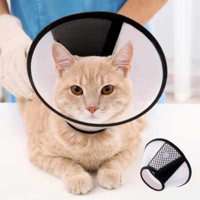 China DIVTOP Viable Soft Edge Plastic Dog Cone Anti-bite Lick Coiled Convenient Plastic Cat Dog Pet E Collar Healing Protective Safety. for sale