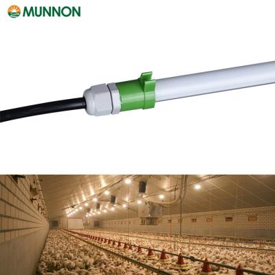 China LED Chicken Farm Bulb Poultry Industry Led Tube Light For Chicken House / Building Chicken Encloses Chicken Farm Lighting System for sale