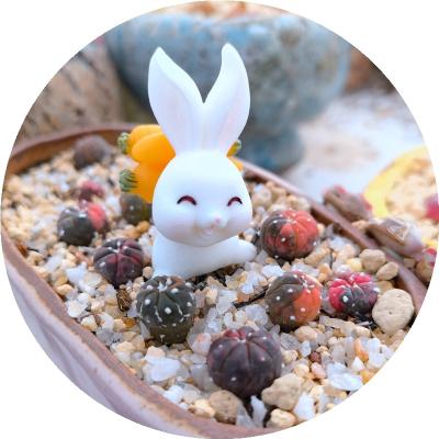 China Wholesale Artificial Micro Landscape Garden Ornaments Cute Little White Rabbit Resin Crafts Home Decoration Cartoon Table Animal Adorn for sale