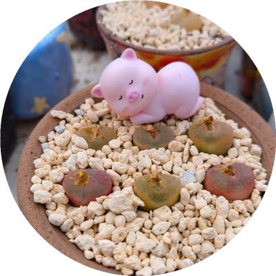 China Wholesale Exquisite Handmade PVC PVC Artwork Pink Pig Ornaments for sale