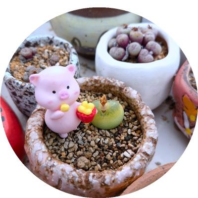 China High Quality Cute Plastic Miniature Model Toy Animal Pig Toy Plastic PVC Garden Decor Farm Animal for sale