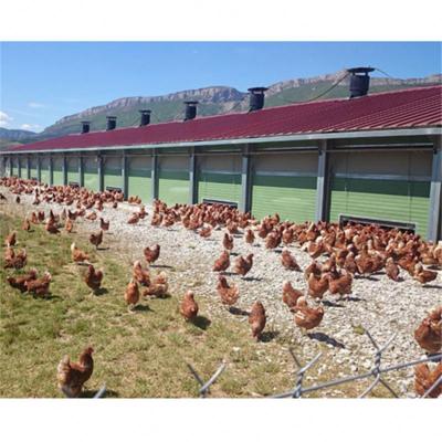 China Broiler House Steel Structure Chicken Use Poultry House Chicken Farm Broiler House for sale