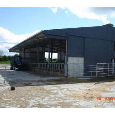 China Dairy Cow Housing Design Fram Cow Farm House Steel Construction Steel Construction for sale