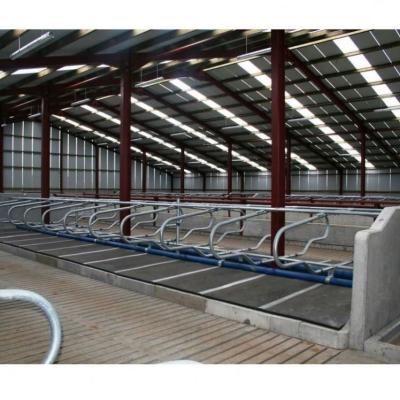 China Low Cost Cow Steel Construction Dairy Cast Farm Construction Design Steel Structure for sale