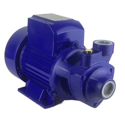 China 110V 220V 50HZ60HZ QB60 small water pump household booster pump clean water circulation pump drinking water treatment A generation for sale