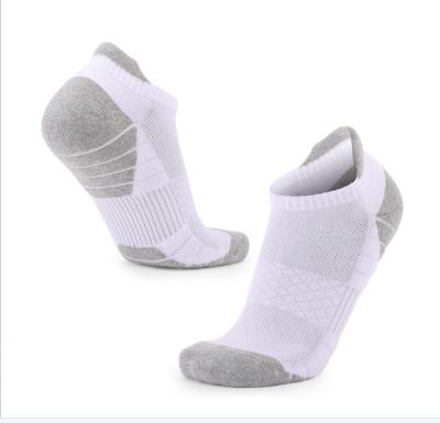 China 2022 Antibacterial Simple White Breathable Ankle Mens Sport Combed Cotton Socks for sale