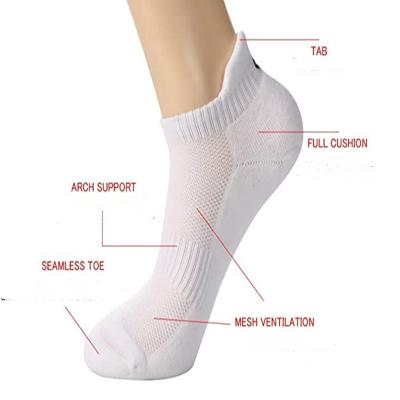 China Antibacterial Compression Combed White Sporty Cotton Tag High Ankle Sneaker Socks for sale