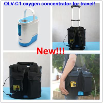 China Use in the car,use outside,1L mini portable oxygen concentrator with battery for sale