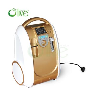 China OLV-B1 new best offer 1L 90% portable oxygen concentrator with battery for sale