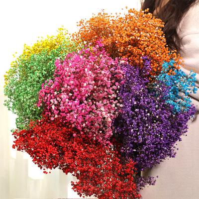 China Maintain up to 3 years old wholesale lasting fresh preserved real baby's breath bouquet of flowers for valentine's day for sale