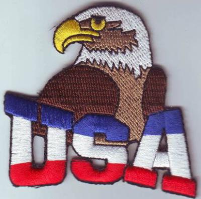 China American-flag-Eagle-Head-Bird-Patch-Iron-Embroidered-Applique-Sew-Badge-DIY  American-flag-Eagle-Head-Bird-Patch-Iron for sale