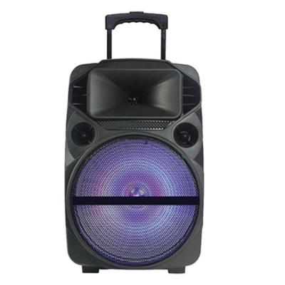 China High quality cart speaker/audio system/12inch woofer/SN-1202 SN-1202 for sale